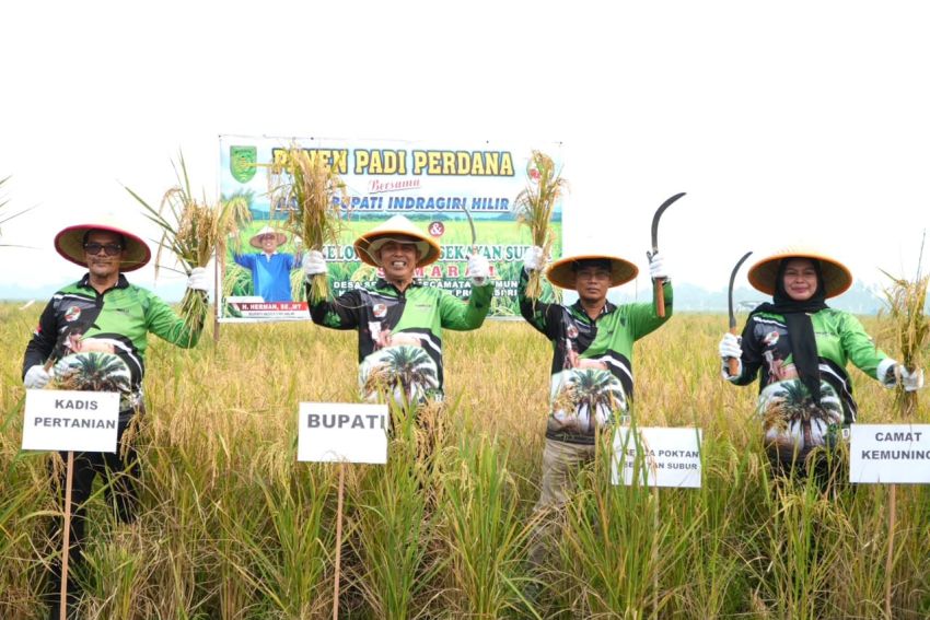Panen Padi Perdana di Desa Sekayan, Bupati: Pencapaian Luar Biasa