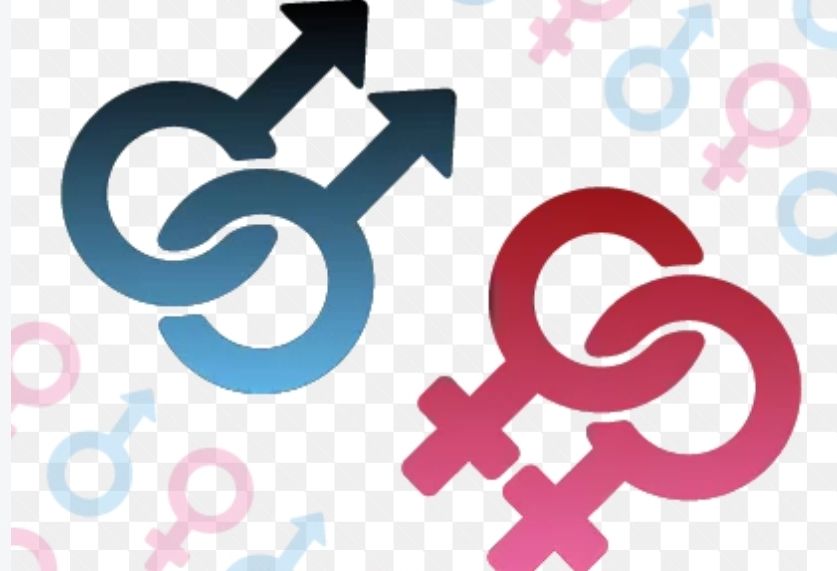 Perilaku Seksual Beresiko Meluas, Perlu Perumusan Regulasi Daerah